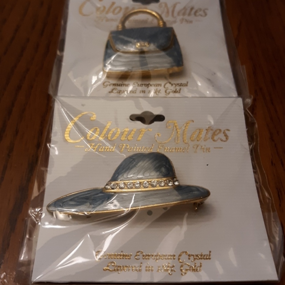 2 hand-painted enamel pins